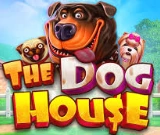 The Dog House Megaways at Lizaro