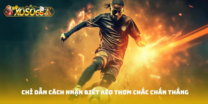 Chỉ dẫn cách nhận biết kèo thơm chắc chắn thắng