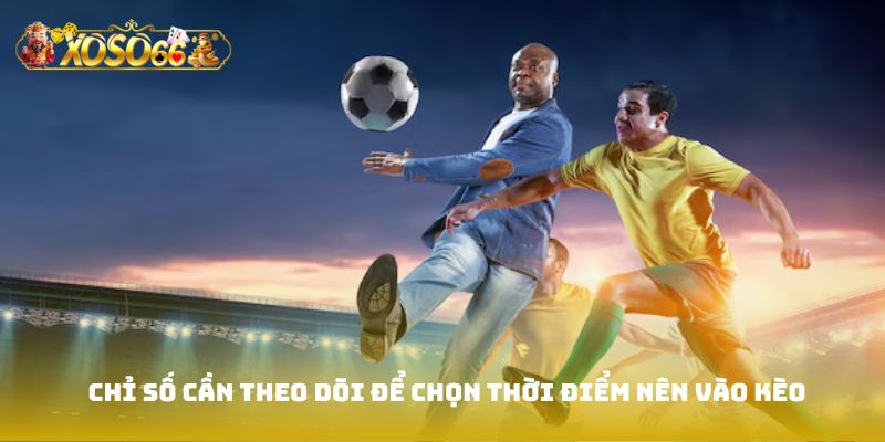 Chỉ số cần theo dõi để chọn thời điểm nên vào kèo